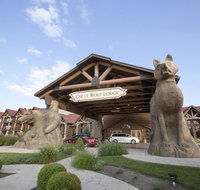 Great Wolf Lodge Williamsburg - Accommodation Houston