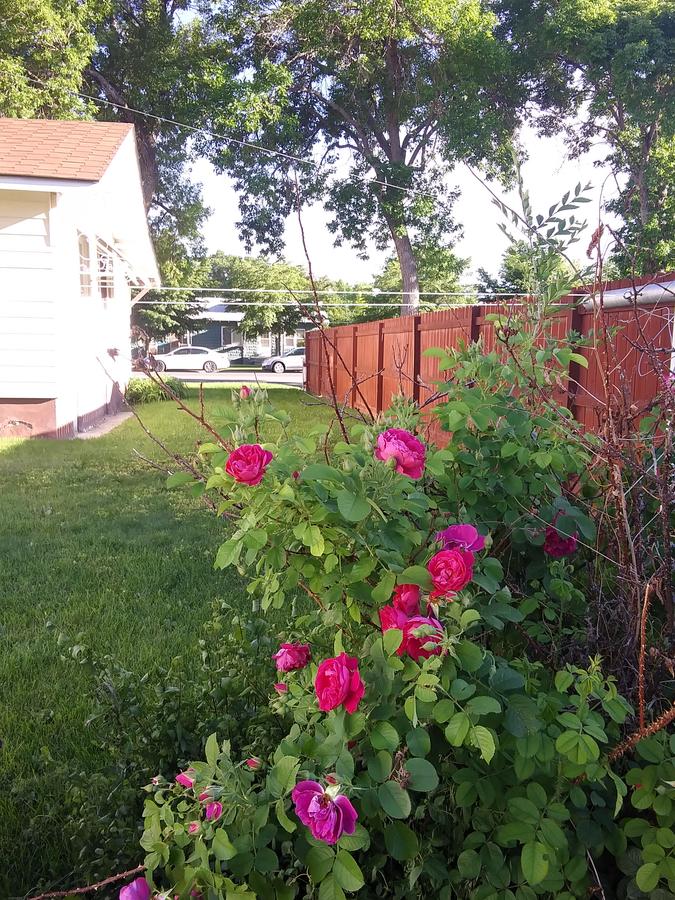 137 1/2 W. 1st St - thumb 5