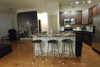 Amazing 2 bed / 2 bath unit near NRG  MD Anderson Accommodation Houston
