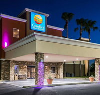 Comfort Inn  Suites Pharr/McAllen - Accommodation Houston
