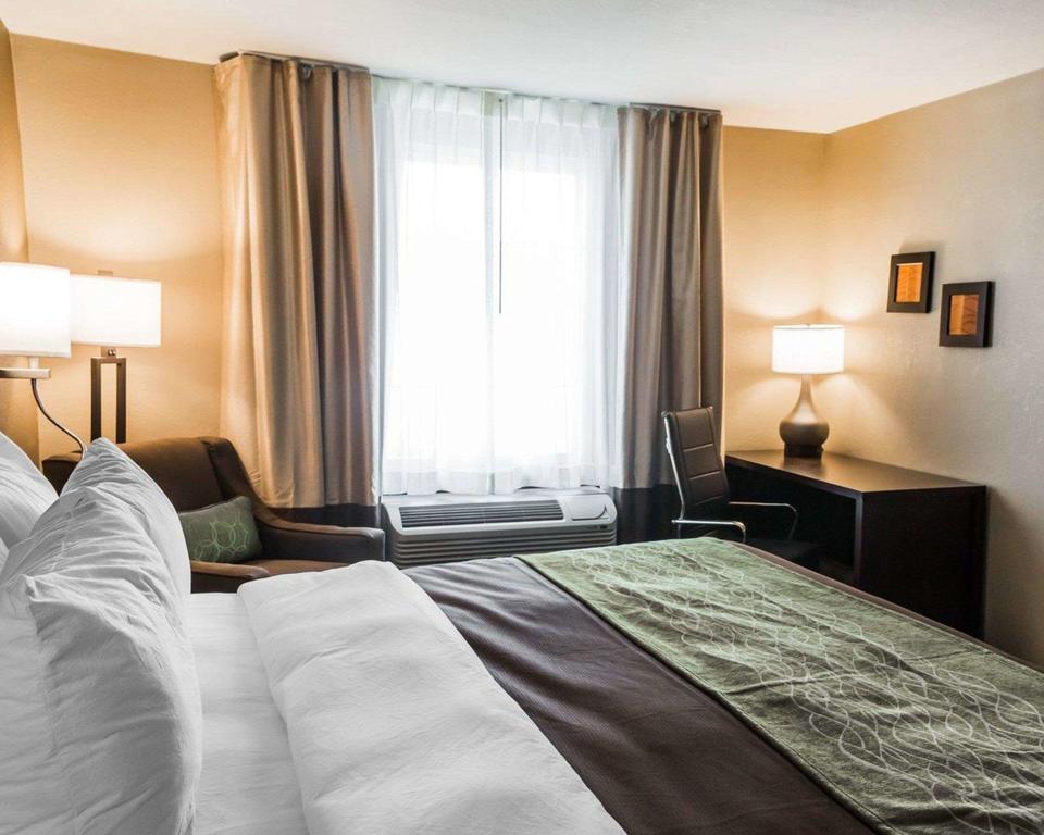 Comfort Inn & Suites Pharr/McAllen - thumb 3