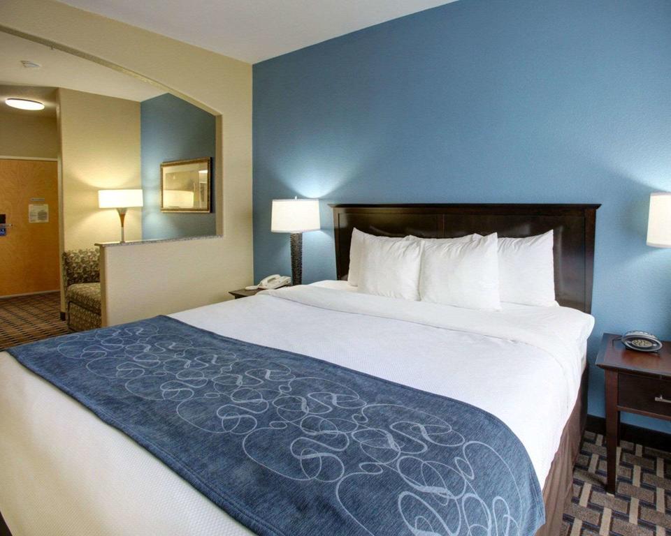 Comfort Suites Georgetown - thumb 3