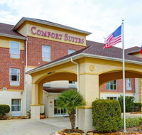 Comfort Suites University Drive - Accommodation Houston