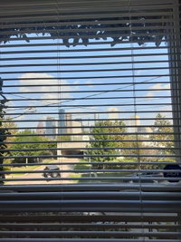 Cozy Studio in the Downtown/Montrose area Accommodation Houston