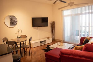 Discounted Penthouse W/ NRG View In The Med Ctr