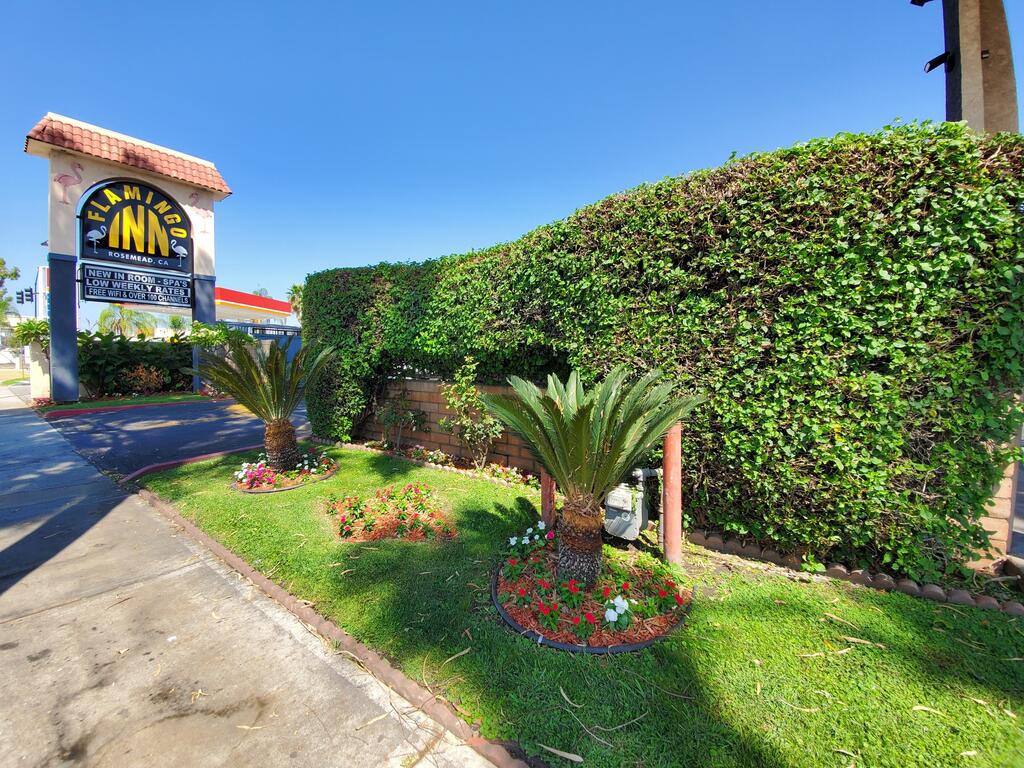 Flamingo Inn - thumb 0