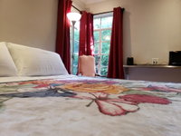 King Bed Private Secure Near Medical Center Pet Friendly Accommodation Houston