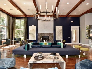 Lavish Apartment Near Houston Medical Centre