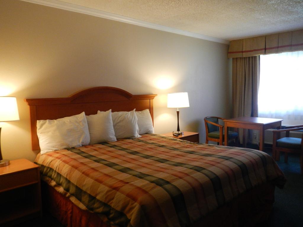 Lemon Tree Motel - thumb 3