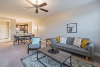 Lux Apartment 5 Minutes from Six Flags Accommodation Houston