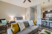 Lux Studio Down the Road from Six Flags Accommodation Houston