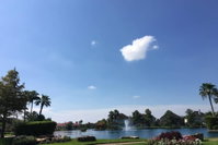 Luxurious lake front property Accommodation Houston