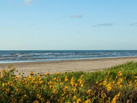 Once Upon a Tide Home Accommodation Houston