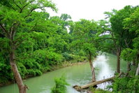Booking Martindale Accommodation Houston