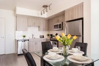 SD Sleek  Stylish Apt Accommodation Houston