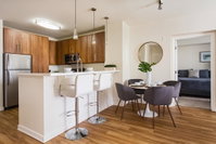 SD Spacious Suite 2BR APT Accommodation Houston