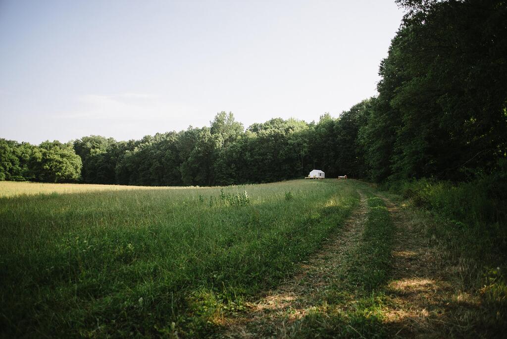 Tentrr - Camp Coal Tree - thumb 3