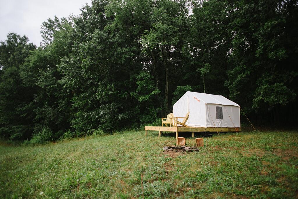 Tentrr - Camp Coal Tree - thumb 0