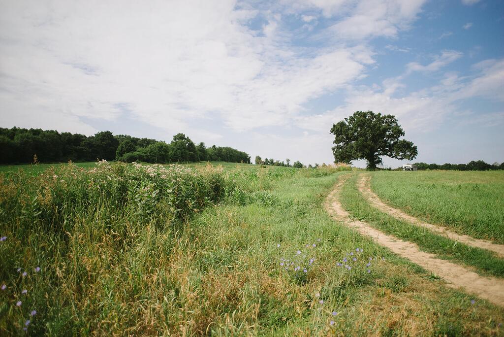 Tentrr - Camp Coal Tree - thumb 2