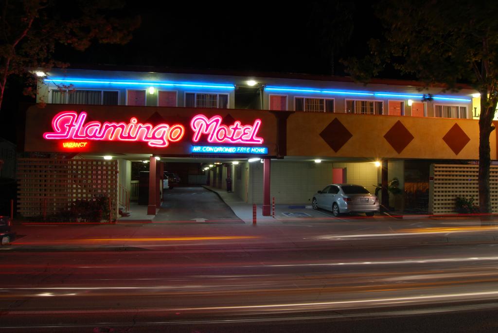 The Flamingo Motel - thumb 2