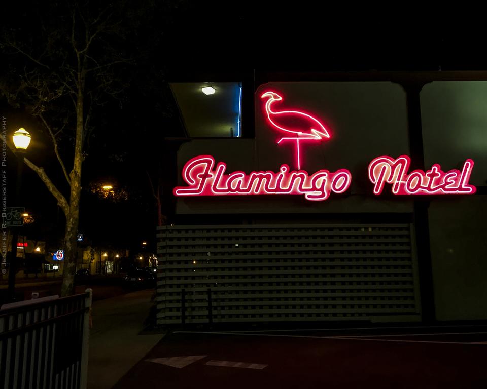 The Flamingo Motel - thumb 0