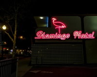 The Flamingo Motel Accommodation Houston