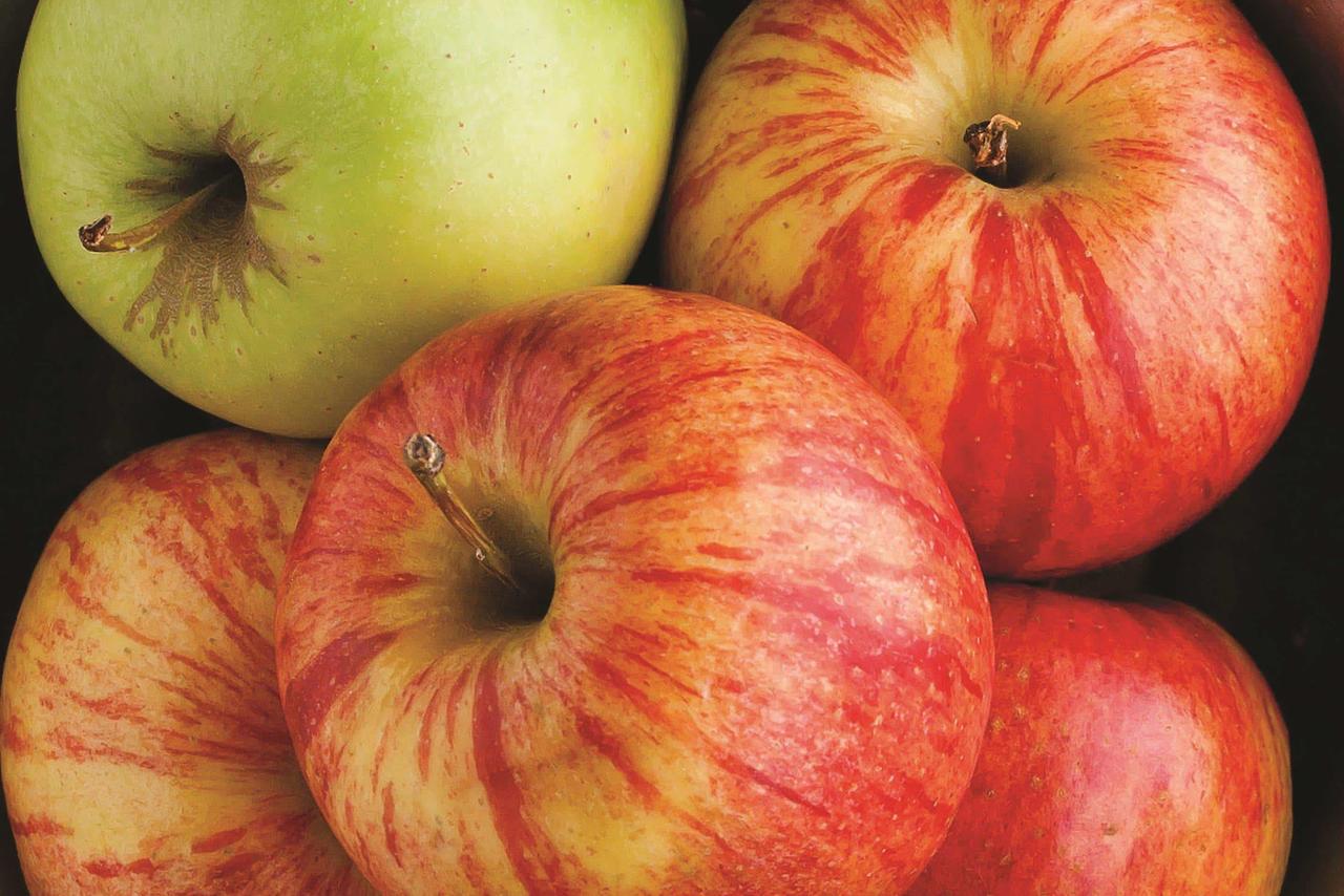 La Quinta By Wyndham Page At Lake Powell - thumb 14