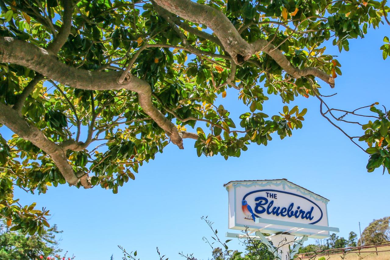 Bluebird Inn - thumb 0