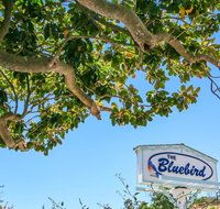 Bluebird Inn - Accommodation Houston
