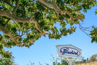 Booking Cambria Accommodation Houston