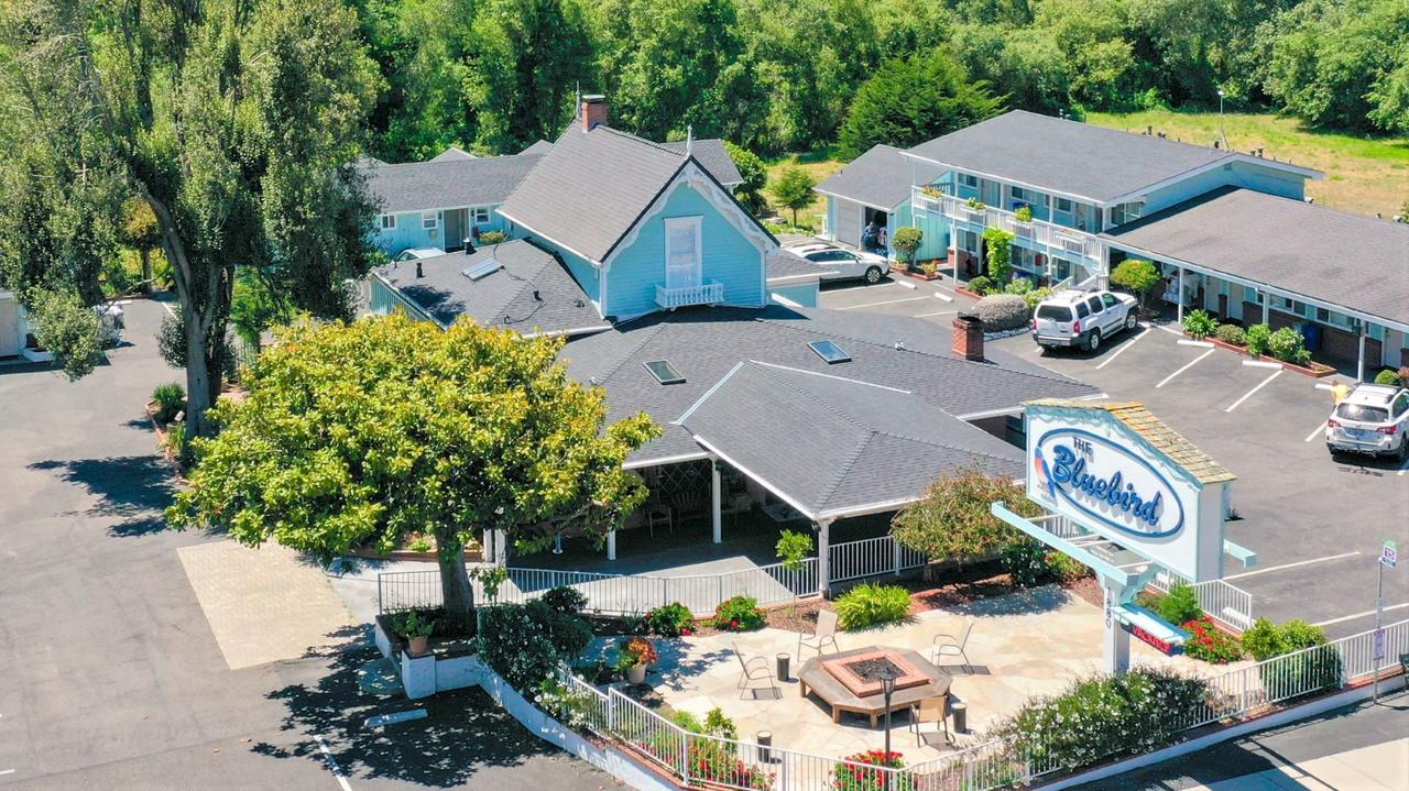 Bluebird Inn - thumb 28