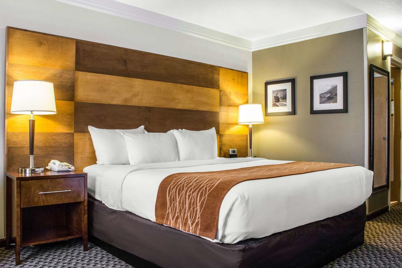Comfort Inn & Suites Durango - thumb 26