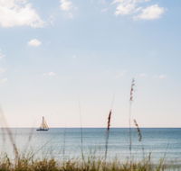 Island House - Accommodation Houston