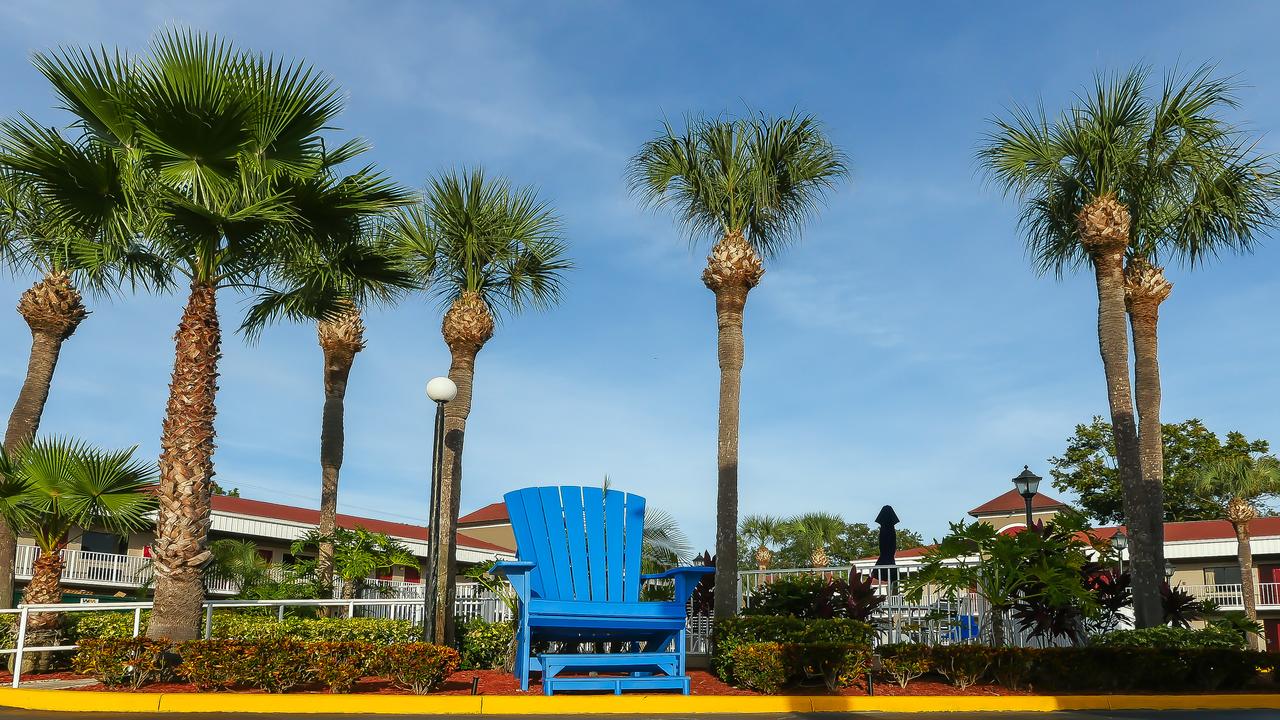 Hotel South Tampa & Suites - thumb 30