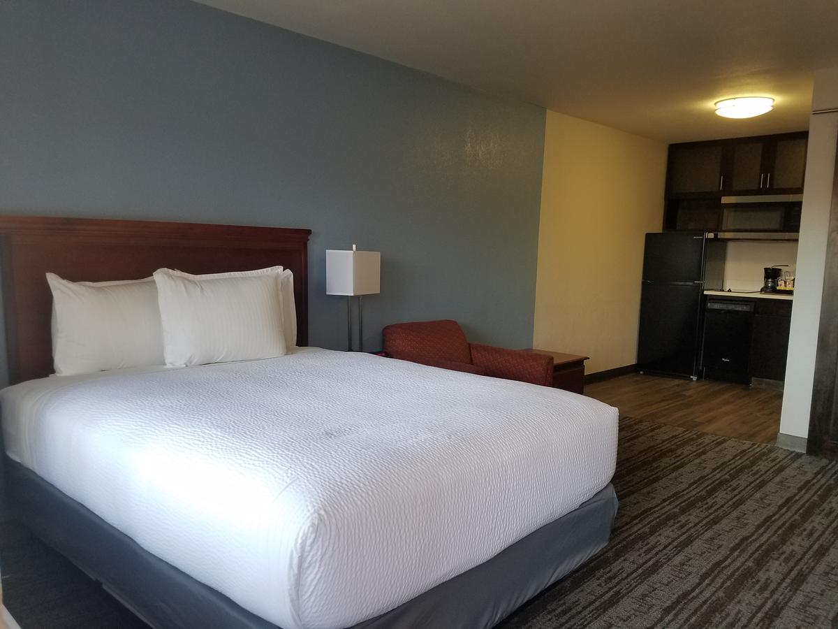 Hotel South Tampa & Suites - thumb 11