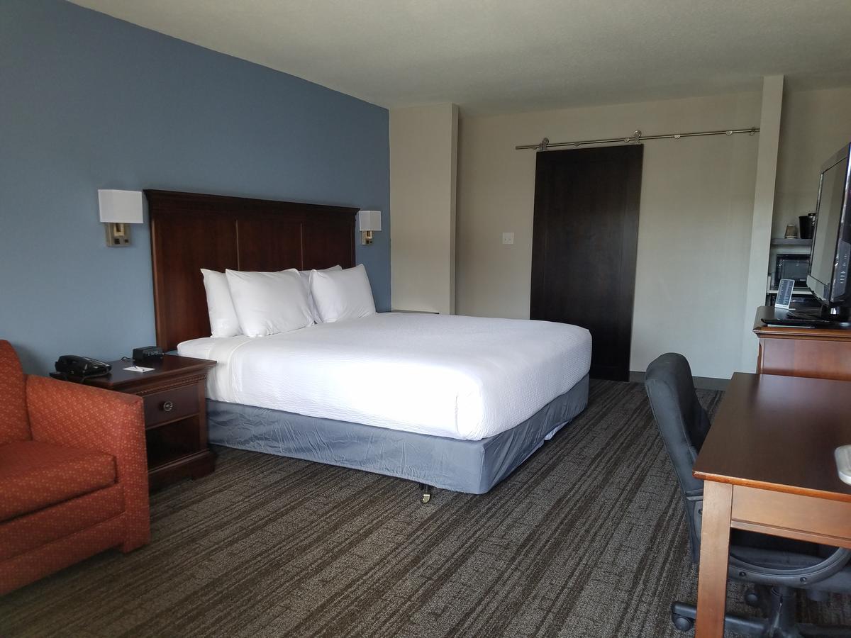 Hotel South Tampa & Suites - thumb 6
