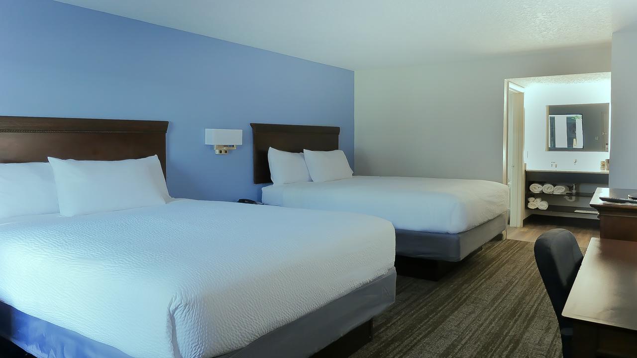 Hotel South Tampa & Suites - thumb 5