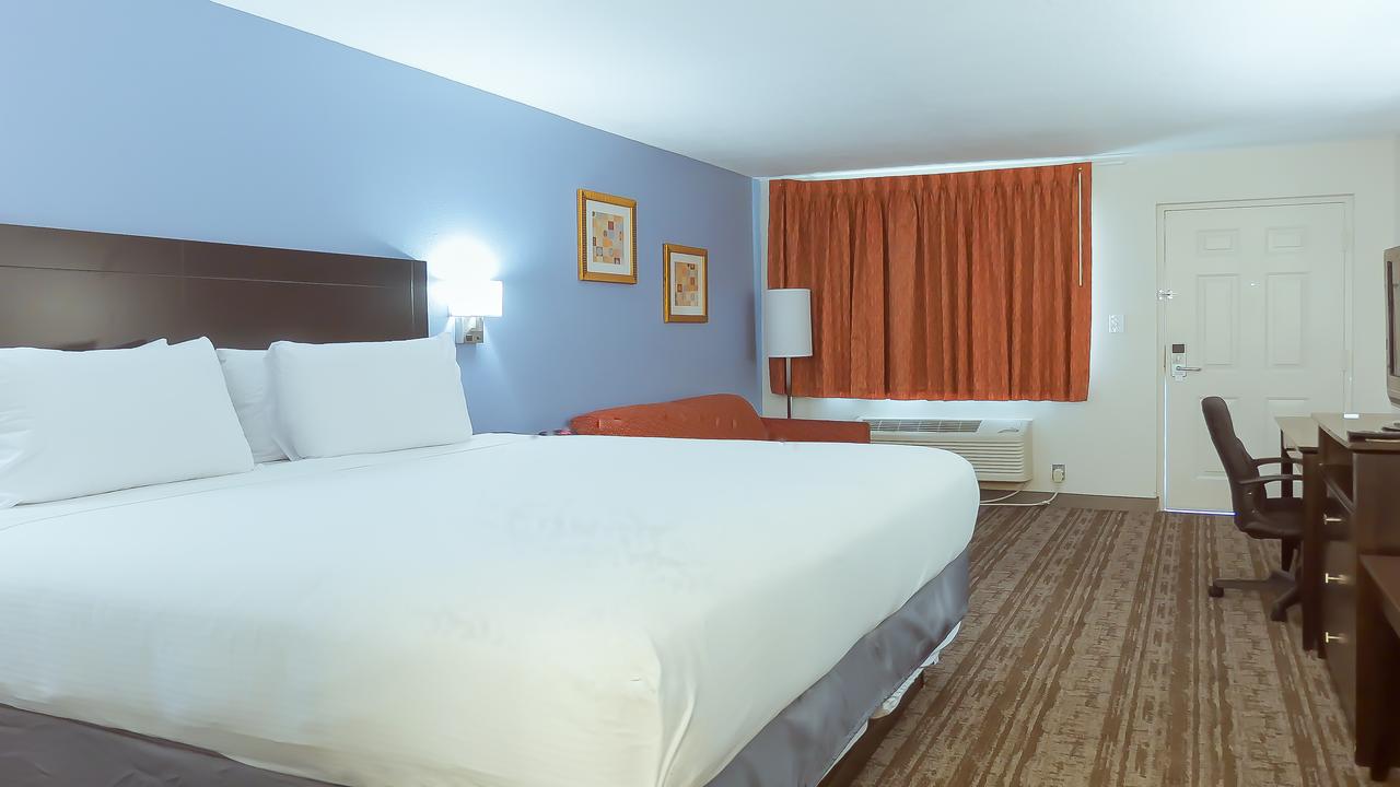 Hotel South Tampa & Suites - thumb 10