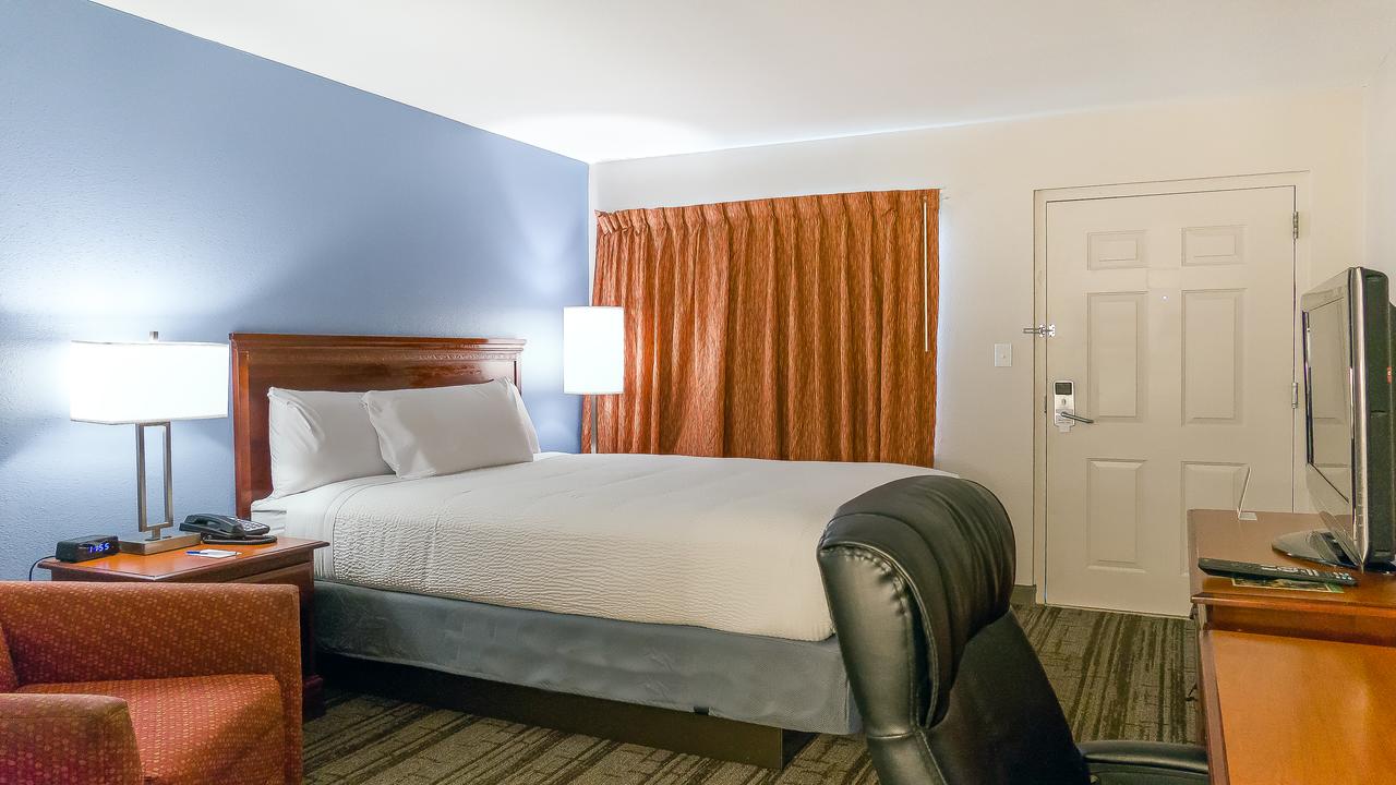 Hotel South Tampa & Suites - thumb 3