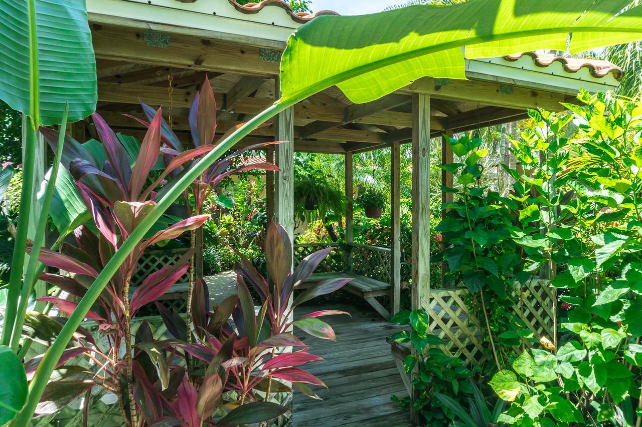 Tropical Villas Of Venice Beach - thumb 8