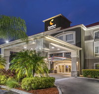 Comfort Inn  Suites Port Charlotte - Accommodation Houston