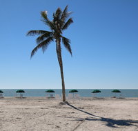 Island Inn Resort Hotel - Accommodation Houston