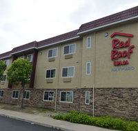 Red Roof Inn Hayward - Accommodation Houston