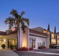 Best Western Plus Royal Oak Hotel - Accommodation Houston