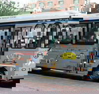 Boston Hop-On Hop-Off Trolley Tour with Harbor Cruise Option - Accommodation Houston