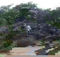 Create Your Own Dallas and Fort Worth Combination Tour - Accommodation Houston