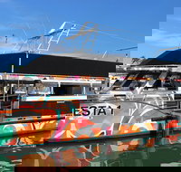 Miami Celebrity Homes Cruise - Accommodation Houston