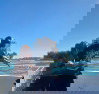 Miami Skyline 90 min Cruise of South Beach Millionaire Homes  Venetian Islands - Accommodation Houston