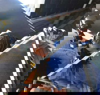 Chicago CityPASS - Accommodation Houston