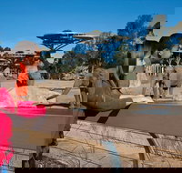 San Diego Zoo 1-Day Pass Ticket No Reservations Required - Accommodation Houston